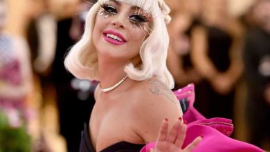 صورة Lady Gaga Halts Sydney Concert After Dancer Falls on Stage